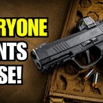 America Can’t Stop Buying These Guns