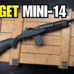 Everyone’s Buying This Gun 2026
