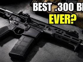 Sig Sauer Rattler LT Review: Is This The Best .300 Blackout Rifle?