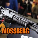All-New Mossberg Guns for 2026 – You Won’t Believe What They Dropped!