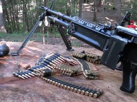 400-Dollar .308 VS 100,000-Dollar .308
