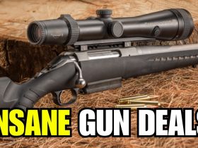 5 CHEAP GUNS EVERYONE IGNORES (But These 5 Guns Are Absolute Goldmines)
