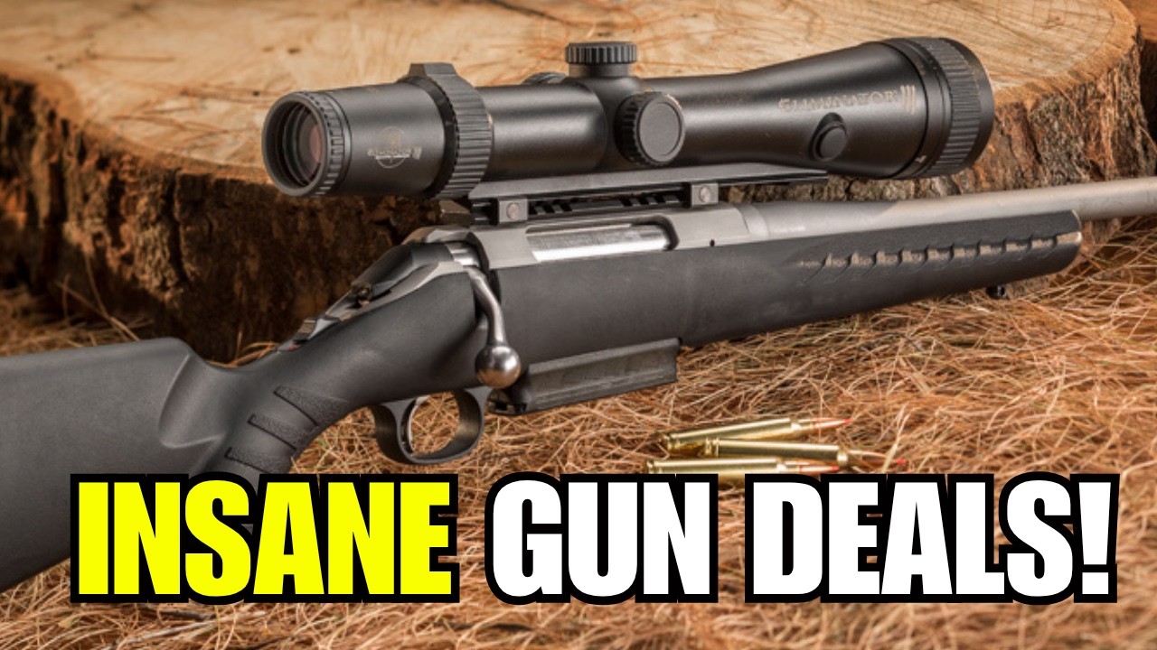 5 CHEAP GUNS EVERYONE IGNORES (But These 5 Guns Are Absolute Goldmines)