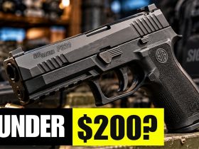 8 Pistols Under 0 That Outperformed Models 5x Their Price