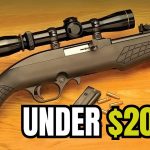 TOP 5 Best Affordable Guns Under 0 That Are Surprisingly AWESOME!