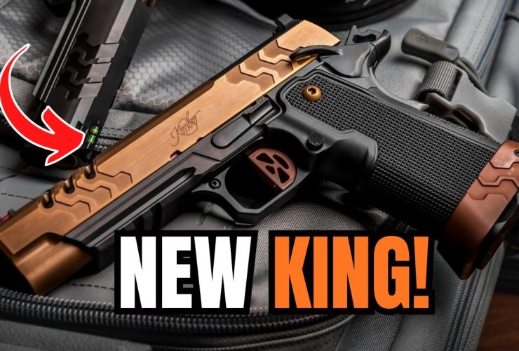 Top 5 New Guns That You Should See (And Buy) For 2025!