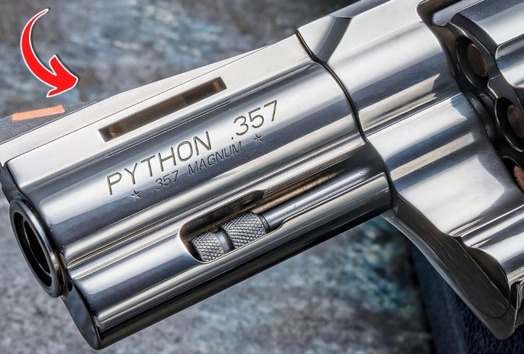 The BEST Revolvers To Buy In 2025!