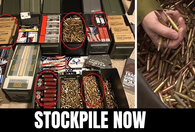 5 Most Recommended 9mm Ammo You Should Stockpile This 2025!