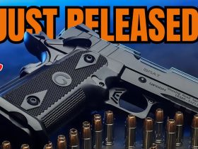 TOP 15 Best Concealed Carry Guns 2025: New #1 Carry Gun!