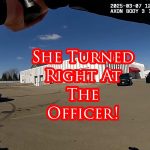 Bismarck Officer Defends Partner From Attack