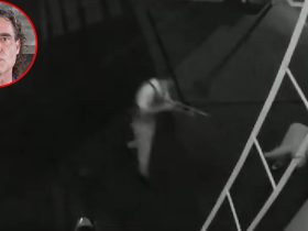 Guard’s Shotgun Fails Him Against Armed Robber