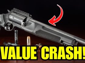 6 GUNs That CRASHED in Value from 2024 to 2025