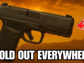 Sold Out Everywhere: The Guns Americans Are Rushing to Buy