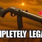 7 Guns You Can Own LEGALLY With Almost No Paperwork