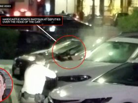 LA Sheriff’s Deputies Have A Giant Goat Rope Responding To a Robbery