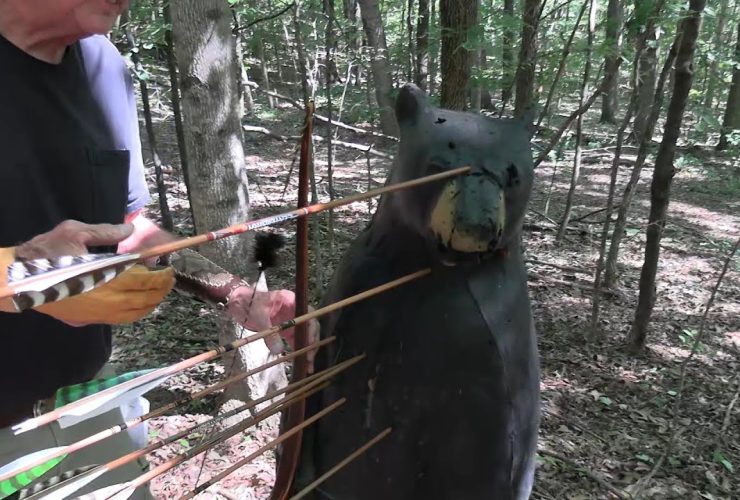 Are Pulleys and Wheels Necessary for Bear Hunting?
