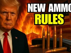 Federal Court Just Shook 2A Again – 10 Ammo Rules You Can’t Ignore