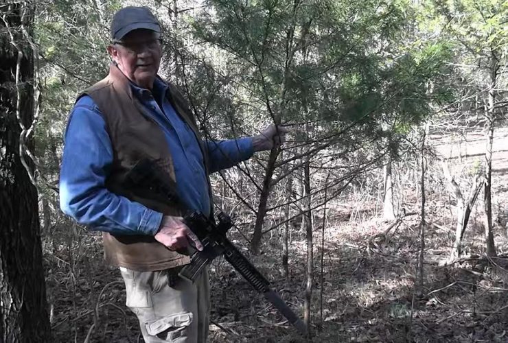 Christmas Tree Hunt 2025 Christmas Tree Hunt 2025