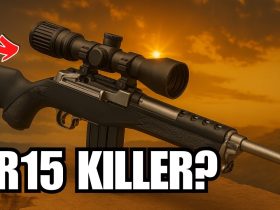 10 Reasons Why the Ruger Mini-14 SMASHES the AR15
