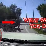 Savvy Defender Outsmarts Armed Carjackers!