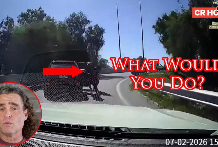 Savvy Defender Outsmarts Armed Carjackers!