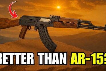 7 Surplus Rifles That Can Outlast Your AR-15!