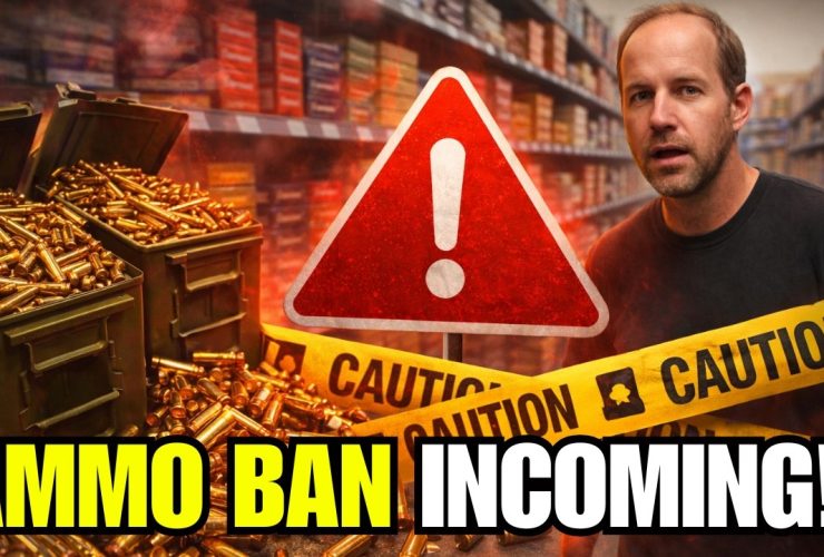 New Bill Will End Online Ammo Nationwide