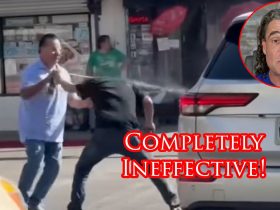 Real Fight Shows Why Wasp Spray SUCKS For Self-Defense