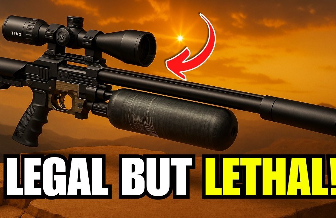 These 9 Air Rifles Can Take Down Hogs, Intruders, And Everything In Between