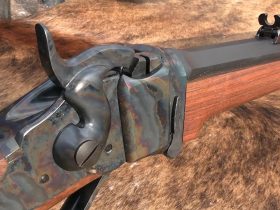 Which Old West Rifle killed the most Buffalo?