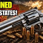 Banned in 7 States: The Truth About America’s Most Dangerous Revolver
