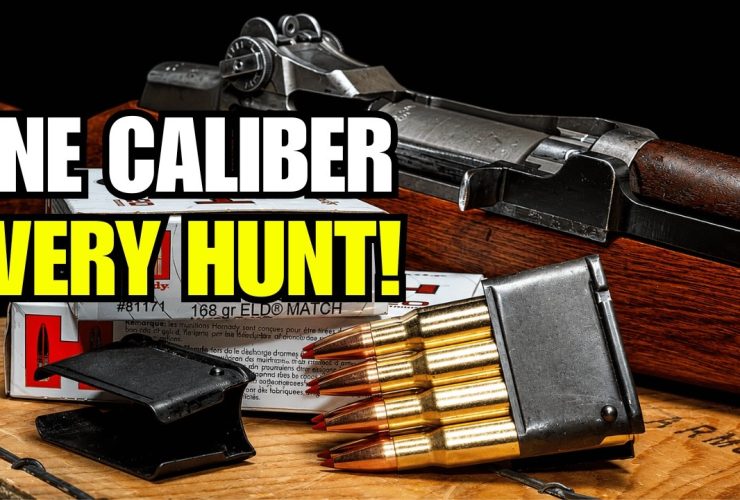 The ONLY Caliber That Can Hunt Everything in America!