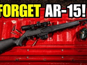 The AR-15 Alternatives People Start Considering When Bans Spread