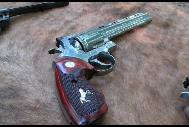 What is the Best BBQ Gun?