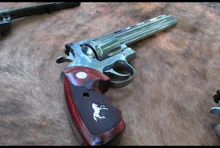 What is the Best BBQ Gun?