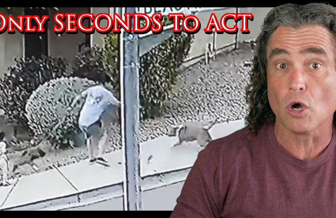 Defender Saves His Child From A Dog Attack | Active Self Protection
