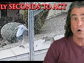 Defender Saves His Child From A Dog Attack | Active Self Protection