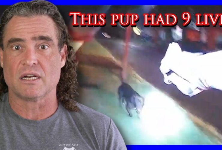 Homeowner Can’t Control His Dog Or Emotions | Active Self Protection