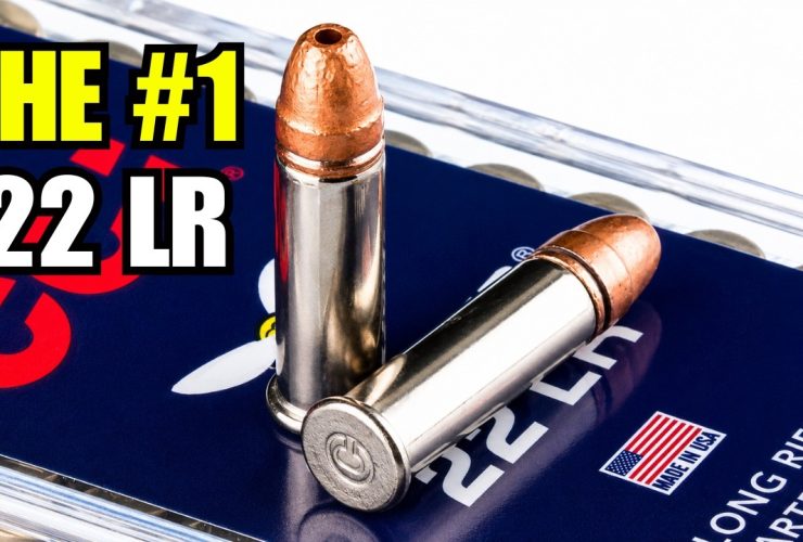 9 Best .22 LR Ammo for Defense, Hunting, and Reliability In 2026