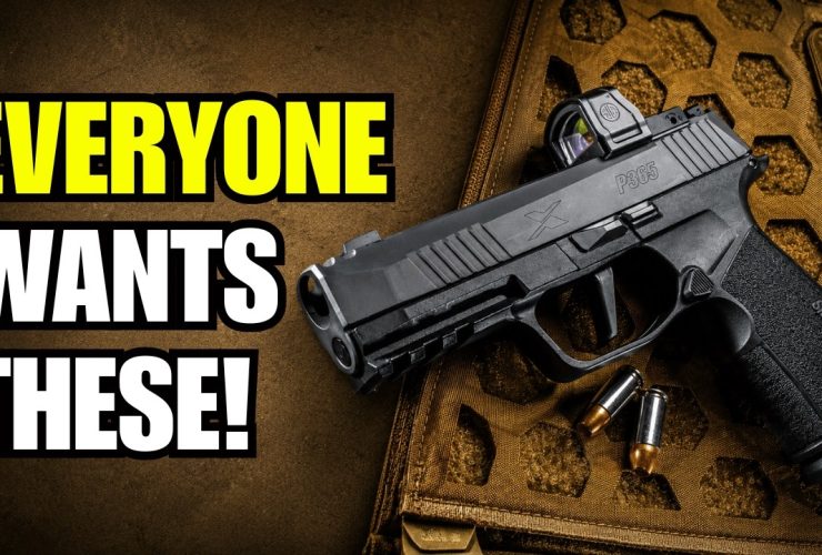 America Can’t Stop Buying These Guns