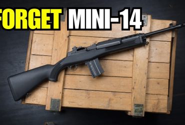 Everyone’s Buying This Gun 2026