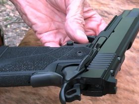 Kimber Warrior OR